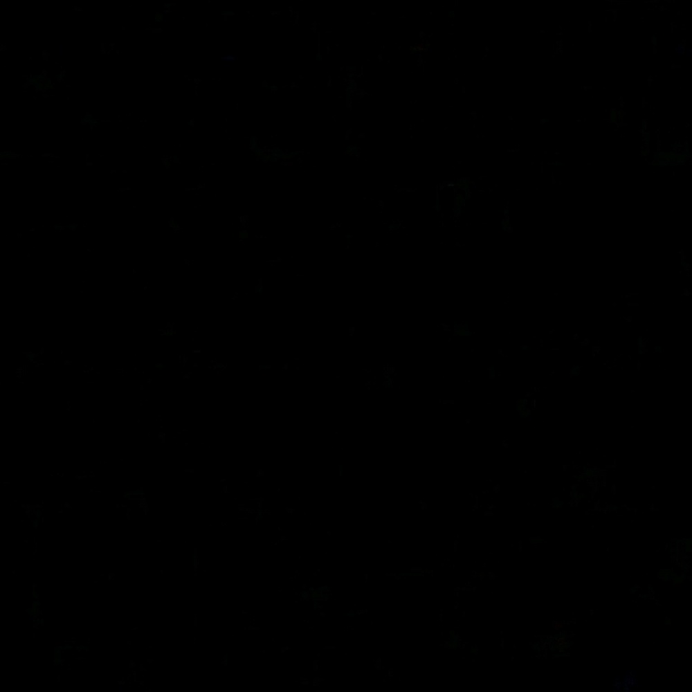 Meet your Posher, Nacho